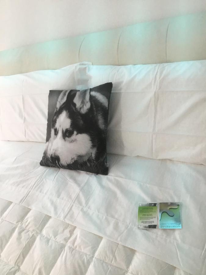 יאשי White Dream Suites מראה חיצוני תמונה